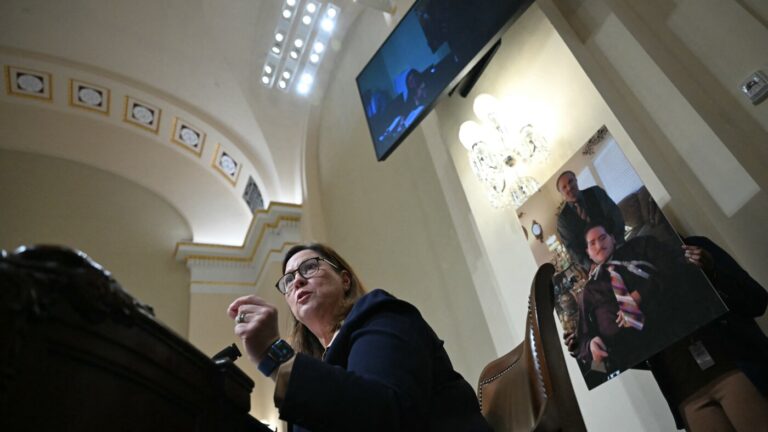 Democrats Claim DHS Closure Will Impact Detention Monitoring, According to NPR