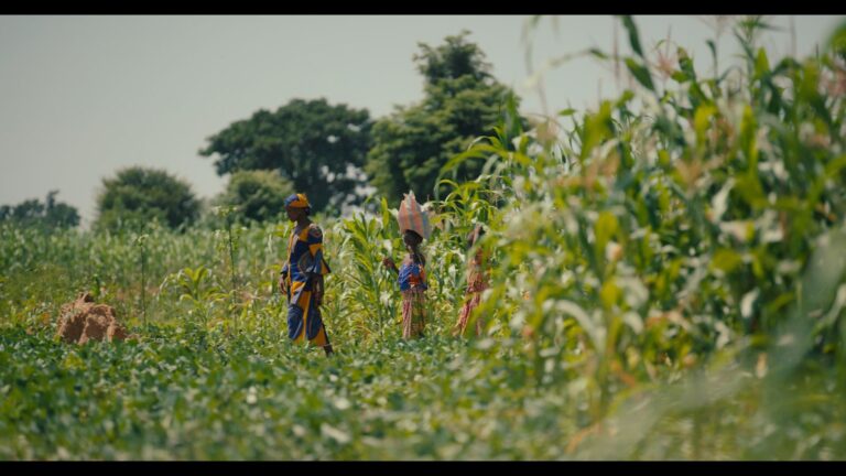 Exploring Resilience and Grace in Everyday Life