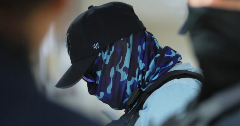 Firefighter in Suburban Chicago Faces Scrutiny Over Social Media Posts Related to Federal Immigration Enforcement