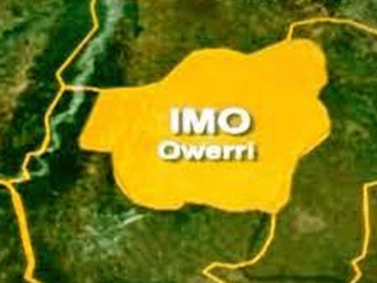 Foundation Offers Complimentary Medical Services to 3,000 Patients in Imo