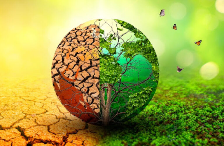 Call for Climate Change Policy Reform by Researchers and Stakeholders – THISDAYLIVE