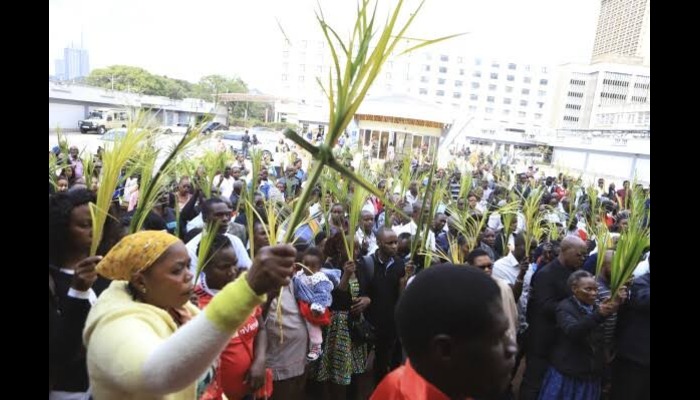 Palm Sunday: A Reflection on Christ’s Kingship and Triumphant Entrance into Jerusalem