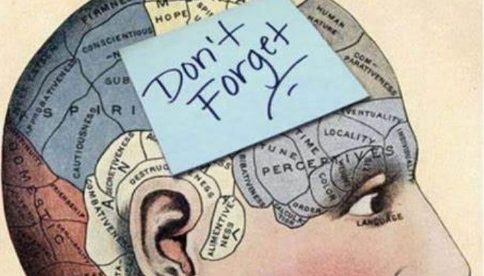 The Significance of Institutional Memory in Business Operations