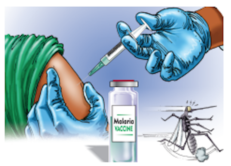 Adaptive Strategies for Effectively Managing Vectors and Parasites in Malaria Control