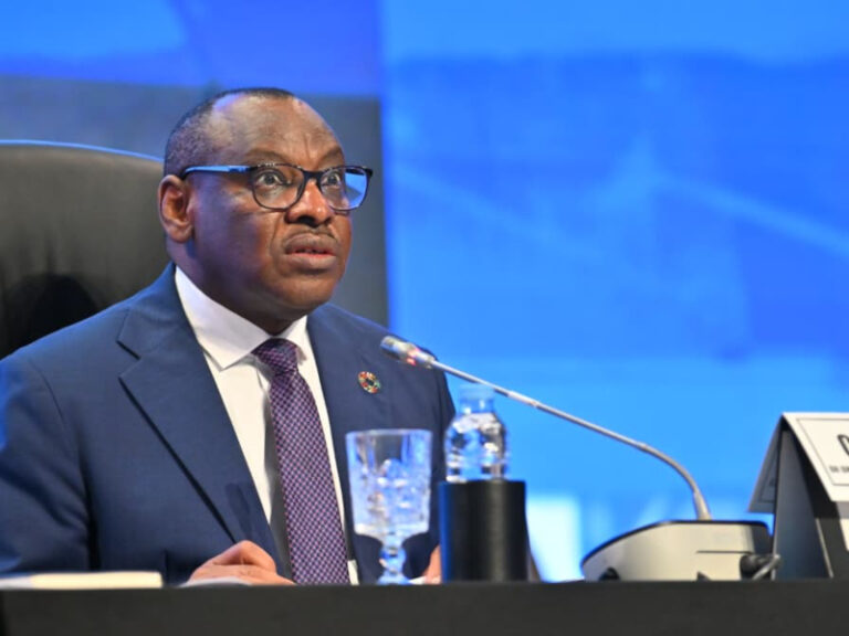 African Leaders Investigate Innovative Funding Models