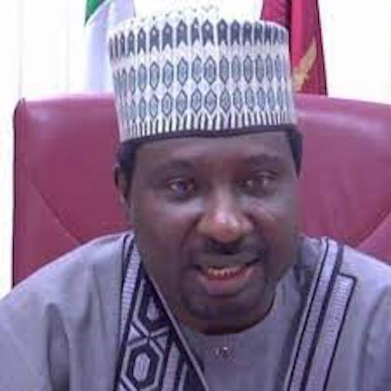 Balau Advocates for Enhanced Democratic Institutions to Address Security Threats in West Africa