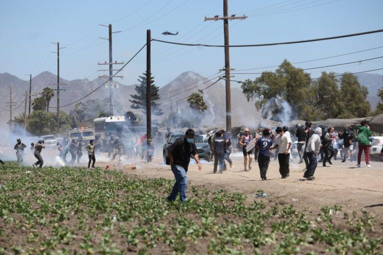 CSU Professor Acquitted of Assault Charges Related to Immigration Protest Incident