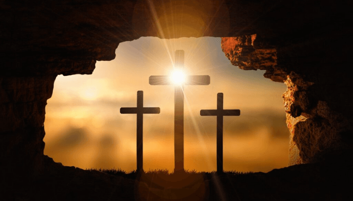 Empowered Renewal: A Transformation that Redefines Everything