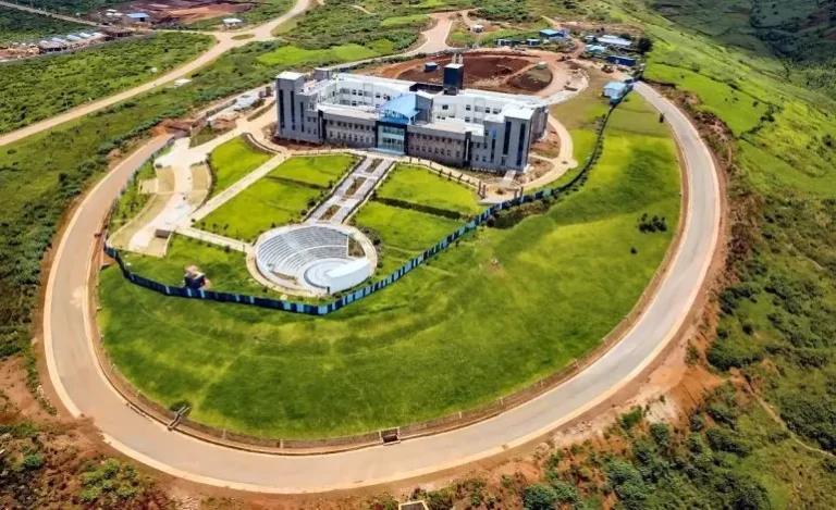 Examples of Digital Ecosystems in English-Speaking Contexts