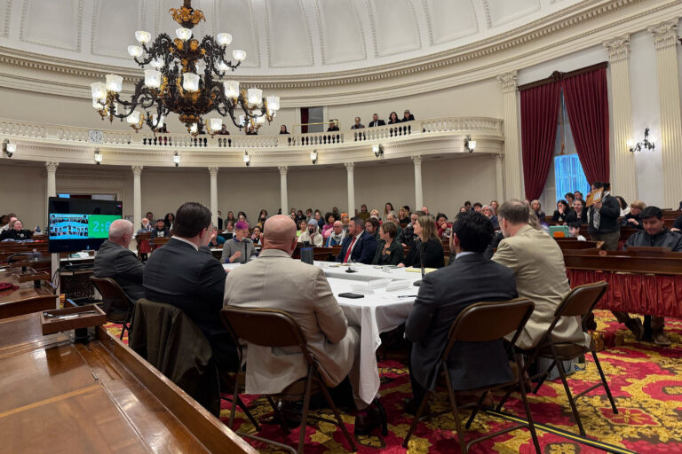 Lawmakers Review Testimonies on Police Brutality During Protests