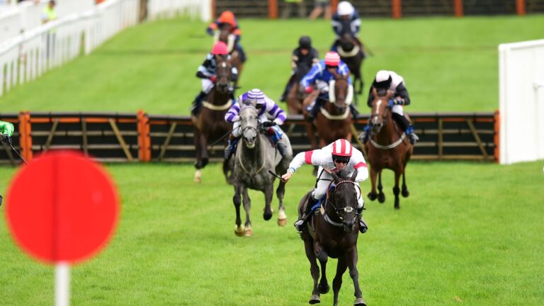 Sky Sports Racing Highlights: Live Coverage of Newton Abbot and Wolverhampton on Saturday