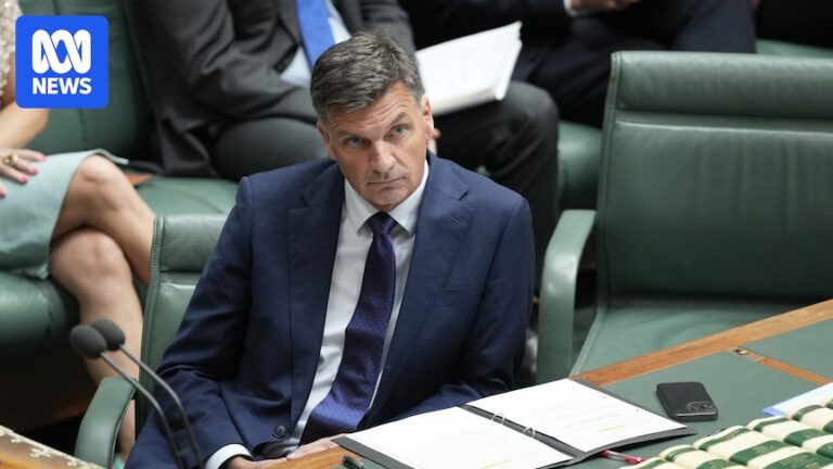 Social Media Evaluations and Commitment to Values in the Coalition’s Immigration Policy