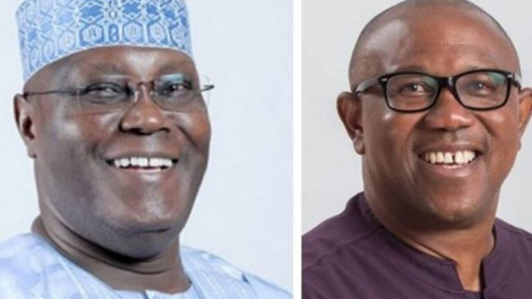 Cease the Politicization of Created Insecurity – THISDAYLIVE