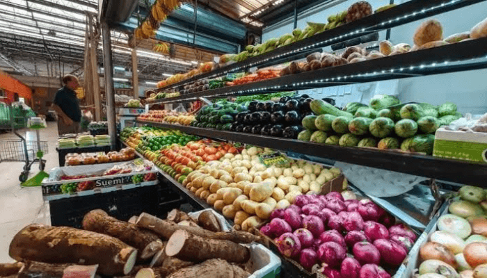 Growth of Nigeria’s Grocery Retail Industry Driven by General Merchandise Market and Its Contribution to GDP