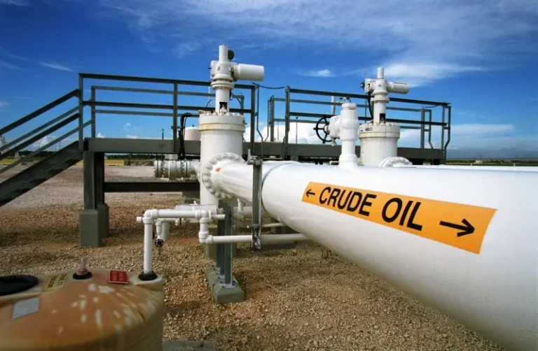 Niger Government Seeks Collaboration with Dangote Group for Oil Exploration in Bida Basin