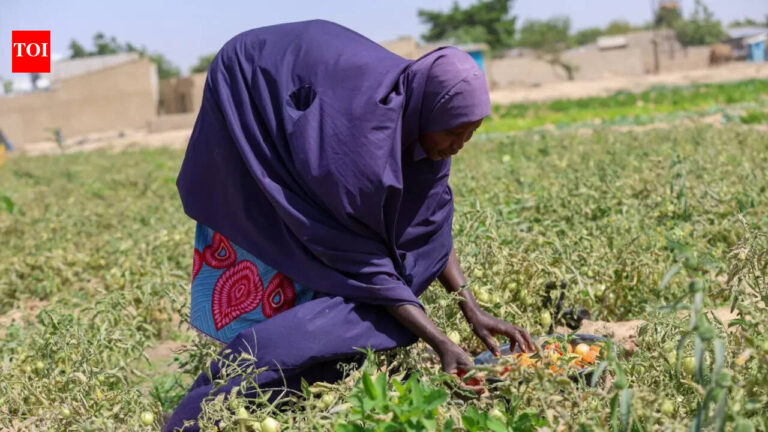 Nigeria Experiences Severe Heatwave Amid Rising Fuel Prices Linked to Iran Conflict
