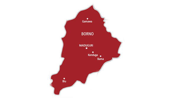 Restrictions on Movement in Borno State to Enhance National Security