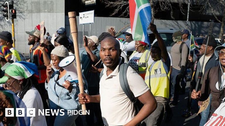 Anti-Immigration Protests in South Africa: Meeting Between Acting Police Minister Firoz Kacharia and Defense Minister