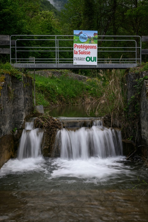 Collaboration Between Companies and Unions Advocates for Swiss Immigration Restrictions
