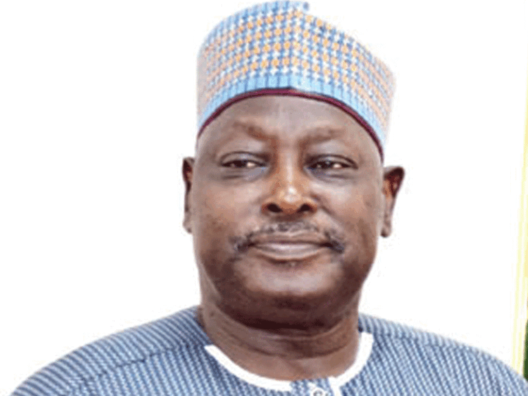 Concerns Raised Over Integrity of ADC Presidential Primary – THISDAYLIVE
