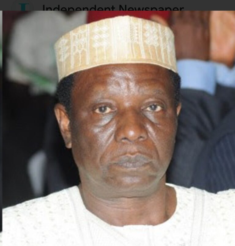 DSS Emerges as Nigeria’s Most Active Institution