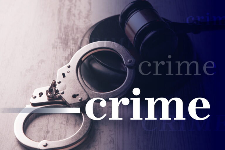 Dunn County Incident Report: Domestic Violence, Immigration Violations, and Vehicle-Collisions Involving Cattle – Dickinson Press