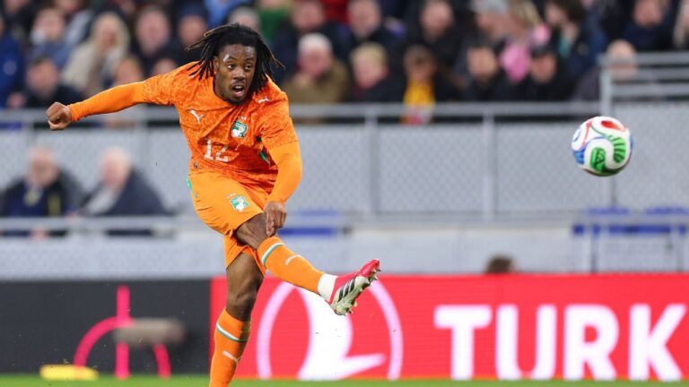 Eli Wahi of Ivory Coast Arrested for Match-Fixing in Ligue 1