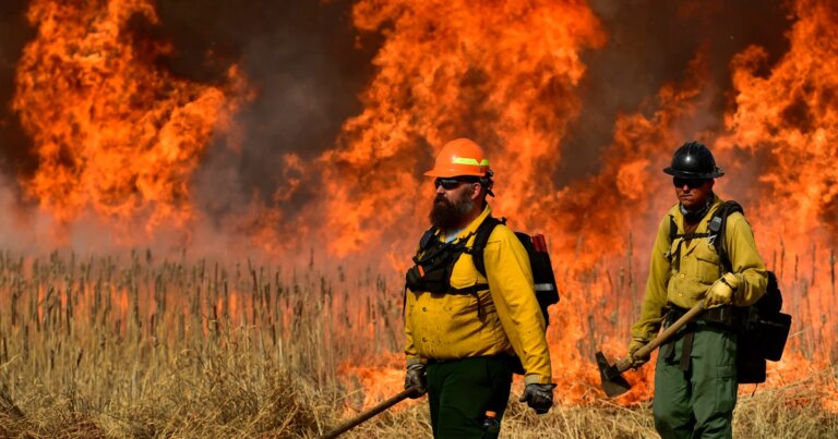 Federal Firefighters to Be Advised to Use N95 Masks in Significant Policy Change