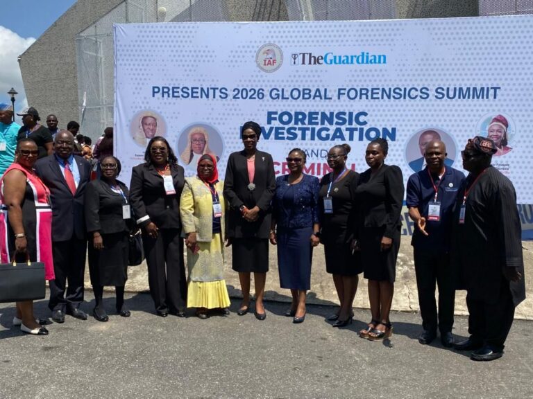 Key Judicial Factors for Attracting Investment and Protecting Business Interests – Alogba