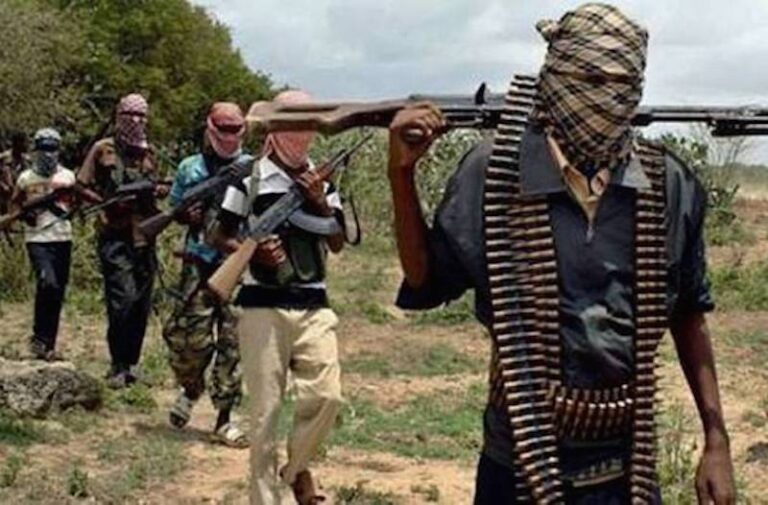 Kwara North Elders Report More Than 1,200 Lives Lost to Bandit Attacks During Tinubu Administration