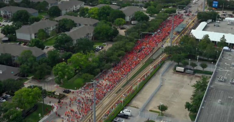 La Marea Naranja Dominates Las Call in Anticipation of the Match in the Netherlands