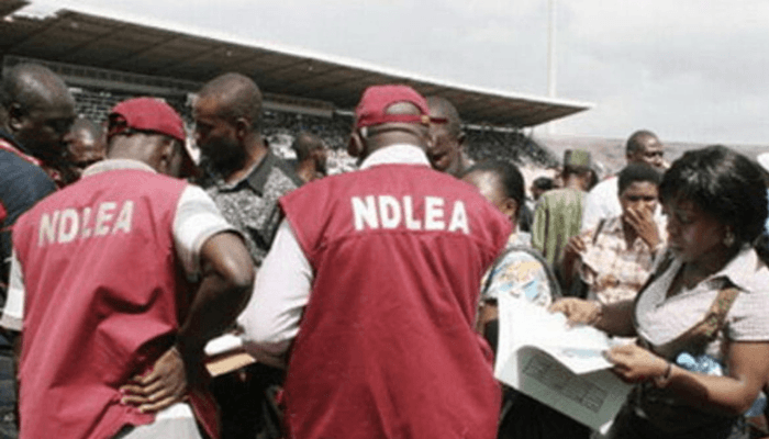 NDLEA Seizes Significant Opioid Shipment in Taraba