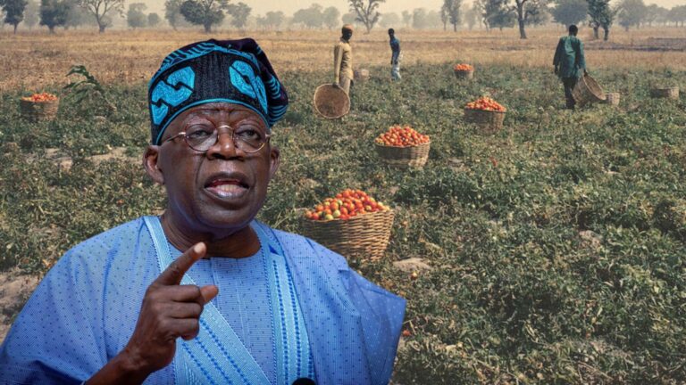 Nigeria Procures 449,000 Tonnes of Fertilizer to Enhance Food Security