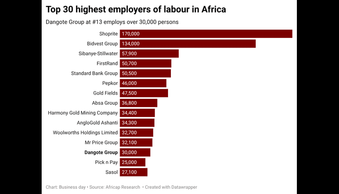 Overview of the Top 30 Employers in Africa