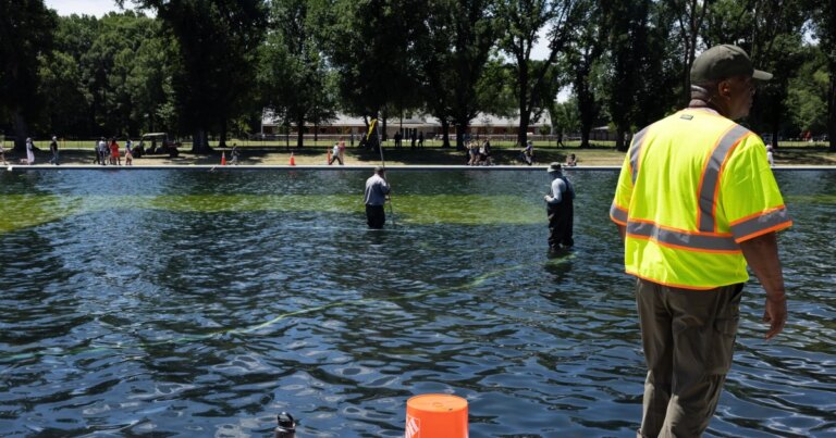 President Trump Attributes Reflecting Pool Issues to Vandals, Suggests Potential Drainage Again