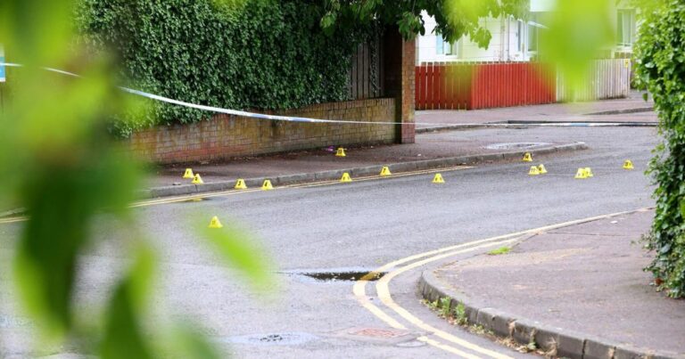 Surge in Anti-Immigrant Violence Following Knife Attack in Northern Ireland; Arson Incidents Reported