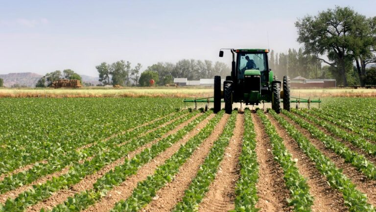 The Role of Media in Supporting Agricultural Growth in Nigeria