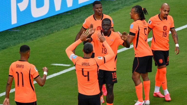 Tunisia Falls to the Netherlands with a Score of 1-3