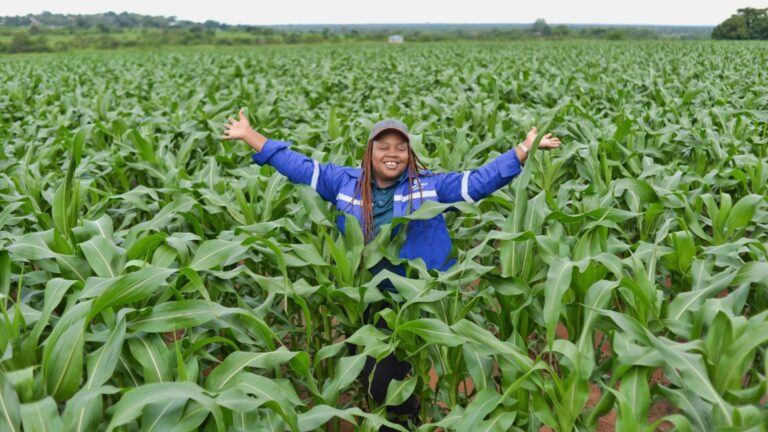 Advancements in Seed Technology Enhance South Africa’s Grain Sector Future
