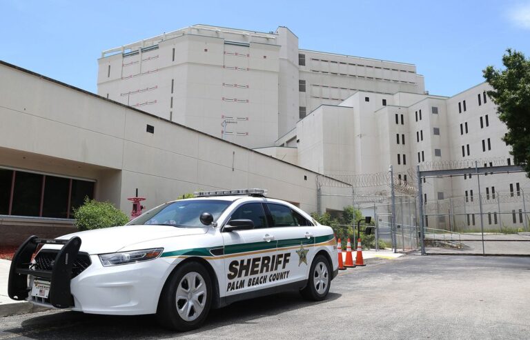 Agents’ Role in the Detention of a Florida Woman by ICE