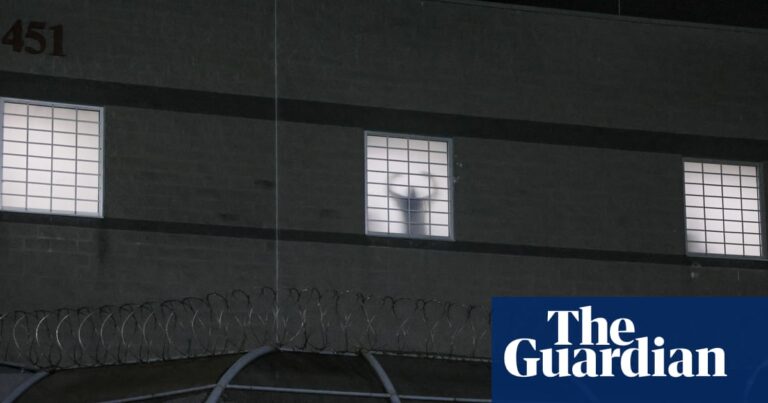 British Citizen Residing in the US Since Age 9 Detained by ICE Facing Deportation Threat