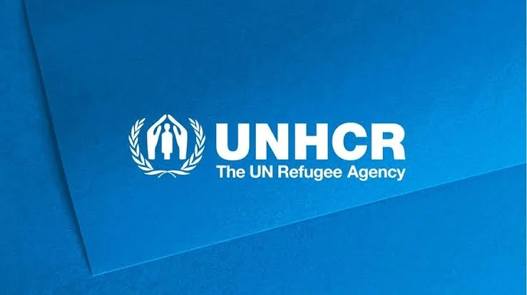 Displacement Around Lake Chad: 3.5 Million People Affected by Violence