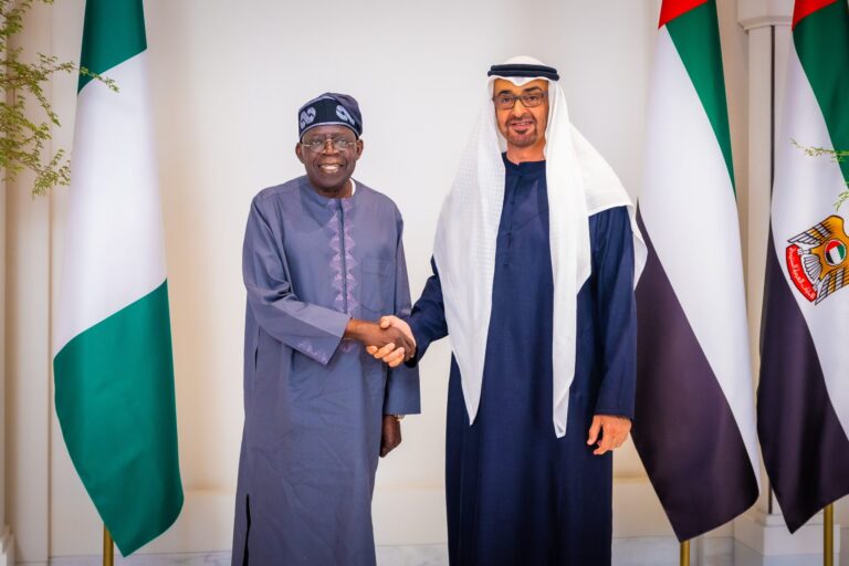 Economic Analysis of Nigeria and UAE Highlights $500 Billion in Disputed Debt Claims