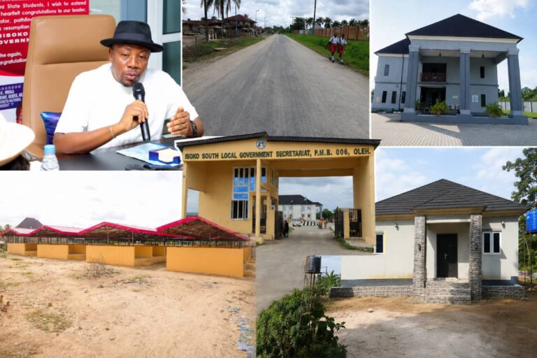 Enduring Support from Residents and Stakeholders: Assessing the Performance of the Isoko South Assembly Speaker on THISDAYLIVE