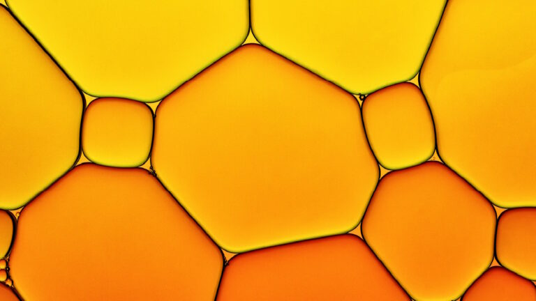 Exploring Ecosystems: The Superior Performance Over Silos in Innovation