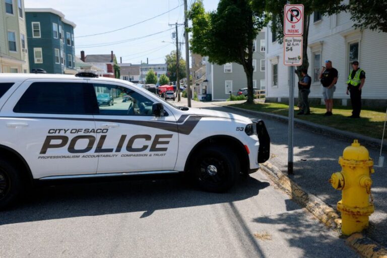 Federal Agent-Involved Shootings Linked to Immigration Policies Result in Four Deaths This Year
