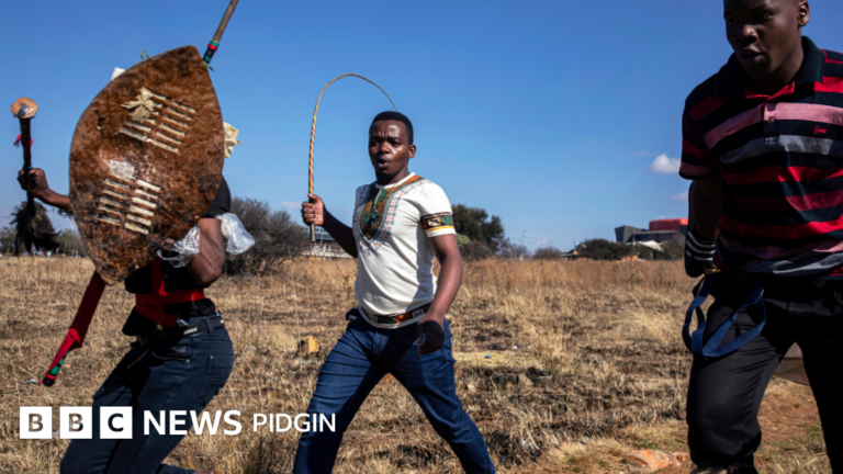 Ghanaian National Fatally Attacked in South Africa Amid Anti-Immigration Protests in Cape Town