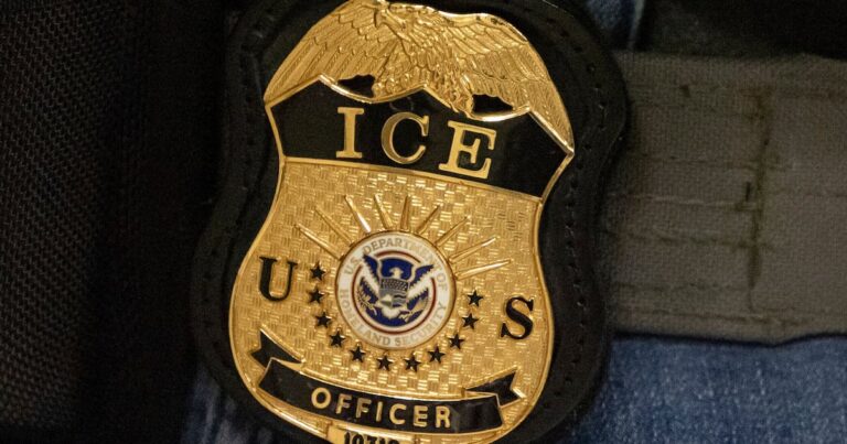 Hall County Police Collaborate with ICE to Support Immigration Enforcement Efforts