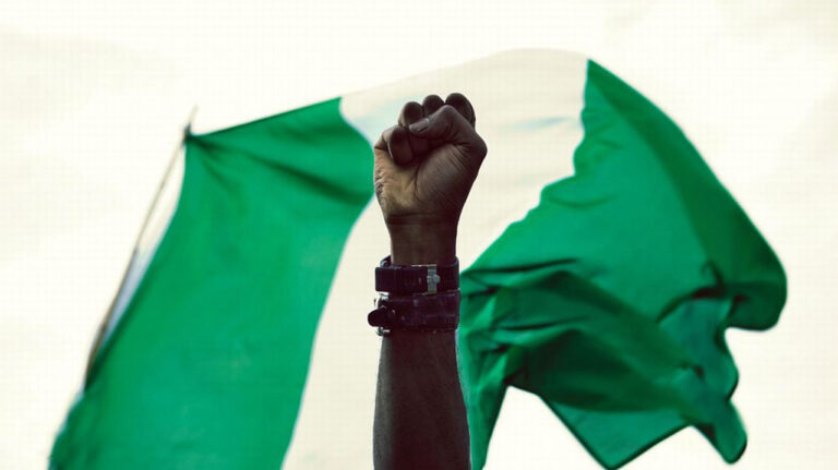 National Preservation Efforts: Insights from Guardian Nigeria News