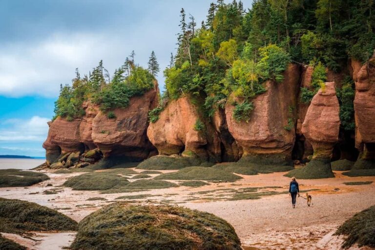 New Brunswick Extends 750 Invitations to Provincial Immigrants